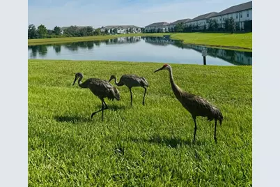 1039 Plantation Lane, Davenport, FL 33896 - Photo 43