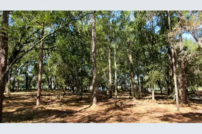 Lake Markham Road, Sanford, FL 32771 - Photo 9