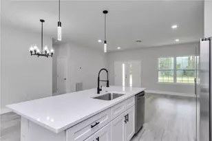 10932 N Frantz Ave, Citrus Springs, FL 34434 - Photo 11