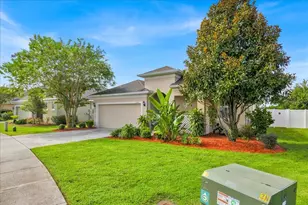 1262 Merion Dr, Mount Dora, FL 32757 - Photo 3