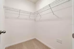 1254 Alstonia Ln, Mount Dora, FL 32757 - Photo 23