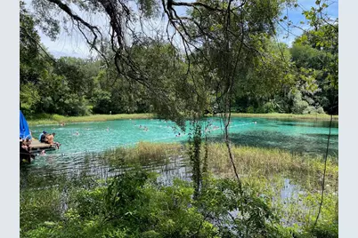 00 SW Blue Berry Lane #Lot 11, Dunnellon, FL 34431 - Photo 3