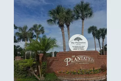 25119 Cranes Roost Circle, Leesburg, FL 34748 - Photo 3
