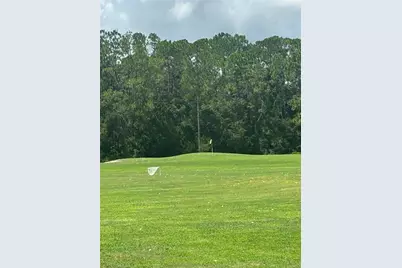 25119 Cranes Roost Circle, Leesburg, FL 34748 - Photo 17