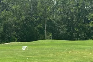 25119 Cranes Roost Cir, Leesburg, FL 34748 - Photo 17