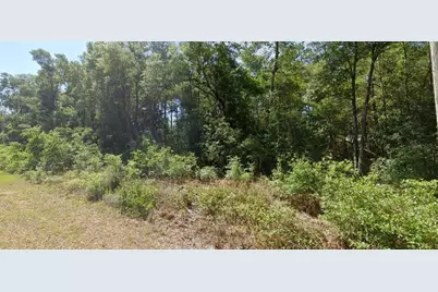 00 SW Starling Drive, Dunnellon, FL 34431 - Photo 1