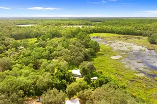 15375 SE 64th Pl, Ocklawaha, FL 32179 - Photo 33