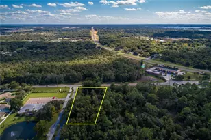 Wolf Branch Rd, Mount Dora, FL 32757 - Photo 1