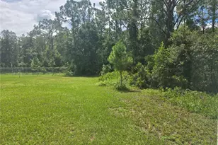 [Address not provided], Kissimmee, FL 34758 - Photo 3