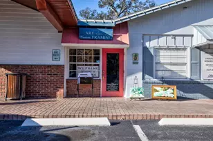 0 Usa, Windermere, FL 34786 - Photo 3