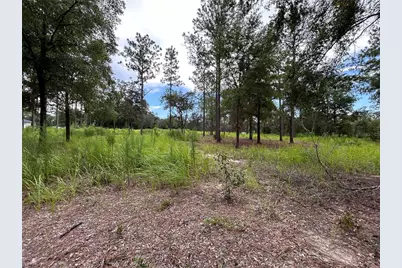 16051 SW 44 Street, Ocala, FL 34481 - Photo 1