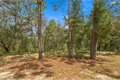 15901 SE 113 St Rd, Ocklawaha, FL 32179 - Photo 23
