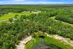 15901 SE 113th Street Rd, Ocklawaha, FL 32179 - Photo 27