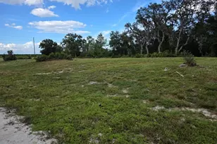 470 N Barrie Rd, Avon Park, FL 33825 - Photo 1