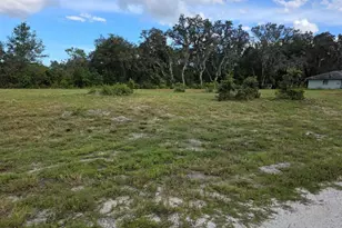 470 N Barrie Rd, Avon Park, FL 33825 - Photo 7