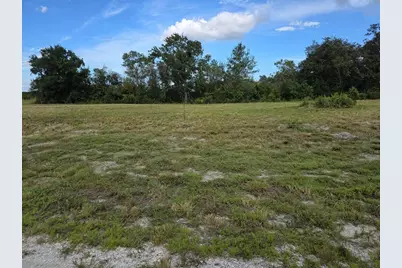 470 N Barrie Road, Avon Park, FL 33825 - Photo 5