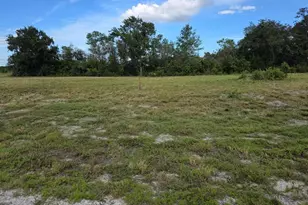 470 N Barrie Rd, Avon Park, FL 33825 - Photo 5