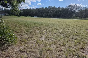 500 N Barrie Rd, Avon Park, FL 33825 - Photo 3