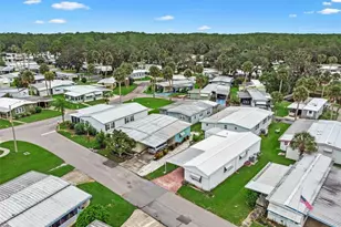 47 Cocos Plumosa Dr, Eustis, FL 32726 - Photo 43