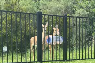 12177 Northover Loop, Orlando, FL 32824 - Photo 37