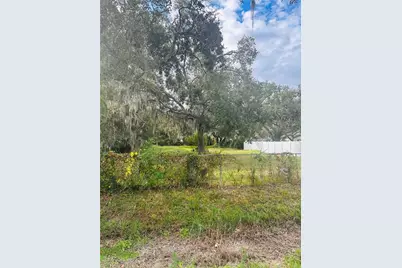 0 Palm Ave, Gibsonton, FL 33534 - Photo 1