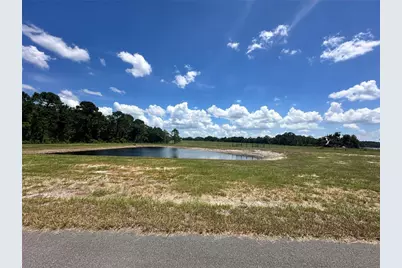 Ranch Gate Blvd, Umatilla, FL 32784 - Photo 19