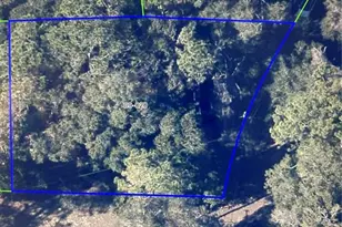 5230 Brahorn Rd, Apopka, FL 32712 - Photo 1