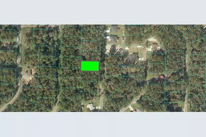 Sequoia Loop Trace, Ocklawaha, FL 32179 - Photo 3