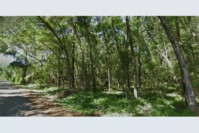 Sequoia Loop Trace, Ocklawaha, FL 32179 - Photo 1