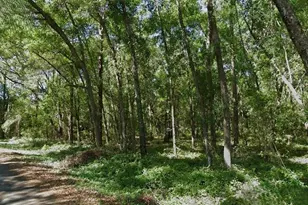 Sequoia Loop Trace, Ocklawaha, FL 32179 - Photo 1