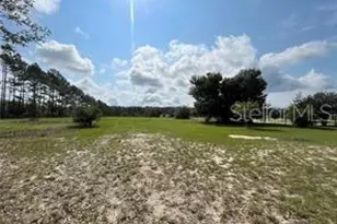 16021 SE 170th Ave, Weirsdale, FL 32195 - Photo 33