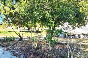 16021 SE 170th Ave, Weirsdale, FL 32195 - Photo 69