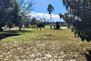 16021 SE 170th Ave, Weirsdale, FL 32195 - Photo 65