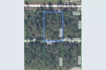 629 Parakeet Avenue, Sebring, FL 33872 - Photo 1