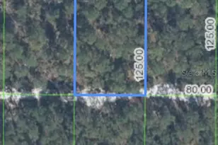 629 Parakeet Ave, Sebring, FL 33872 - Photo 1