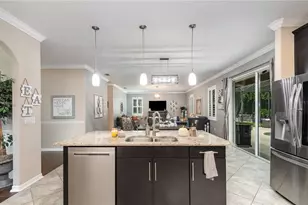 706 Fringe Tree Ct, Deland, FL 32724 - Photo 9