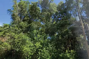 Trentwood Ln, North Port, FL 34286 - Photo 1