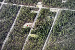 Narcissus, Dunnellon, FL 34431 - Photo 1