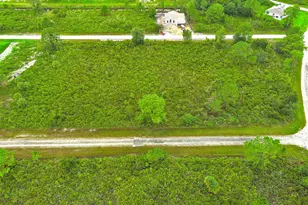 642 Vasser Ave S, Lehigh Acres, FL 33974 - Photo 1