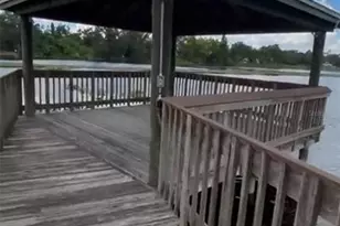 4127 Dolphin Dr, Tampa, FL 33617 - Photo 47