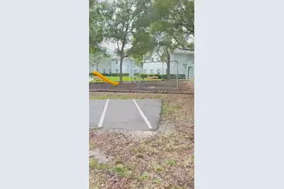 4127 Dolphin Drive #4127, Tampa, FL 33617 - Photo 29