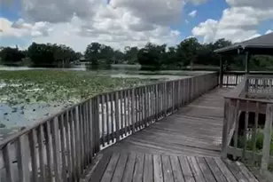 4127 Dolphin Dr, Tampa, FL 33617 - Photo 43