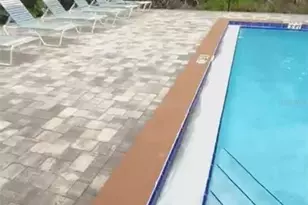 4127 Dolphin Dr, Tampa, FL 33617 - Photo 35