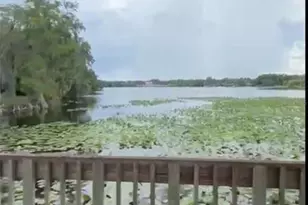 4127 Dolphin Dr, Tampa, FL 33617 - Photo 53