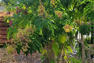 755 Kent Rd, Venice, FL 34293 - Photo 21