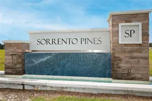 33417 Affirmed Wy, Sorrento, FL 32776 - Photo 41