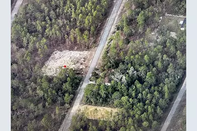 Narcissus, Dunnellon, FL 34431 - Photo 1