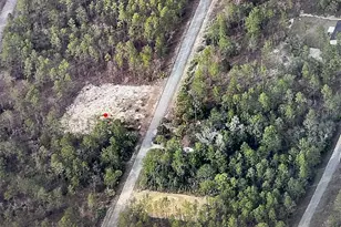 Narcissus, Dunnellon, FL 34431 - Photo 1