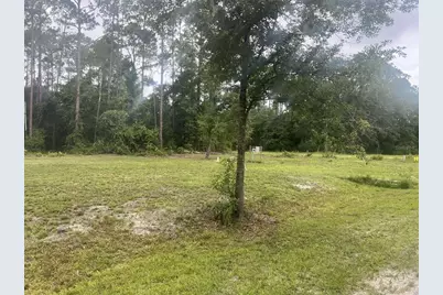 101 Anne Boulevard, Georgetown, FL 32139 - Photo 3