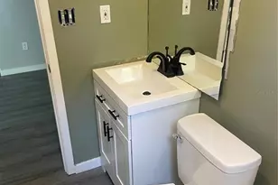 3618 Cilia St, Mount Dora, FL 32757 - Photo 9